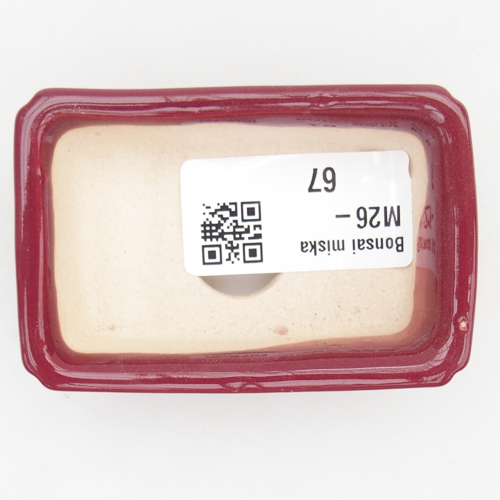 Mini bol bonsaï 7,5 x 5 x 2 cm, bordeaux