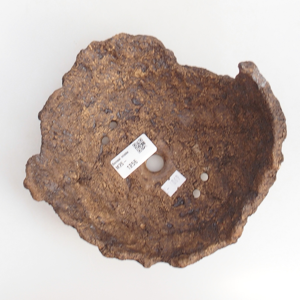 Coquille en céramique 18 x 18 x 12 cm , couleur marron