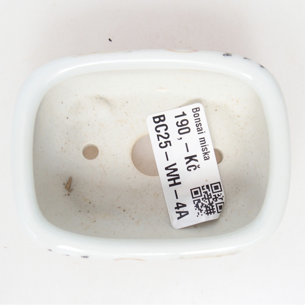 Mini bol bonsaï 8 x 6 x 3 cm, blanc
