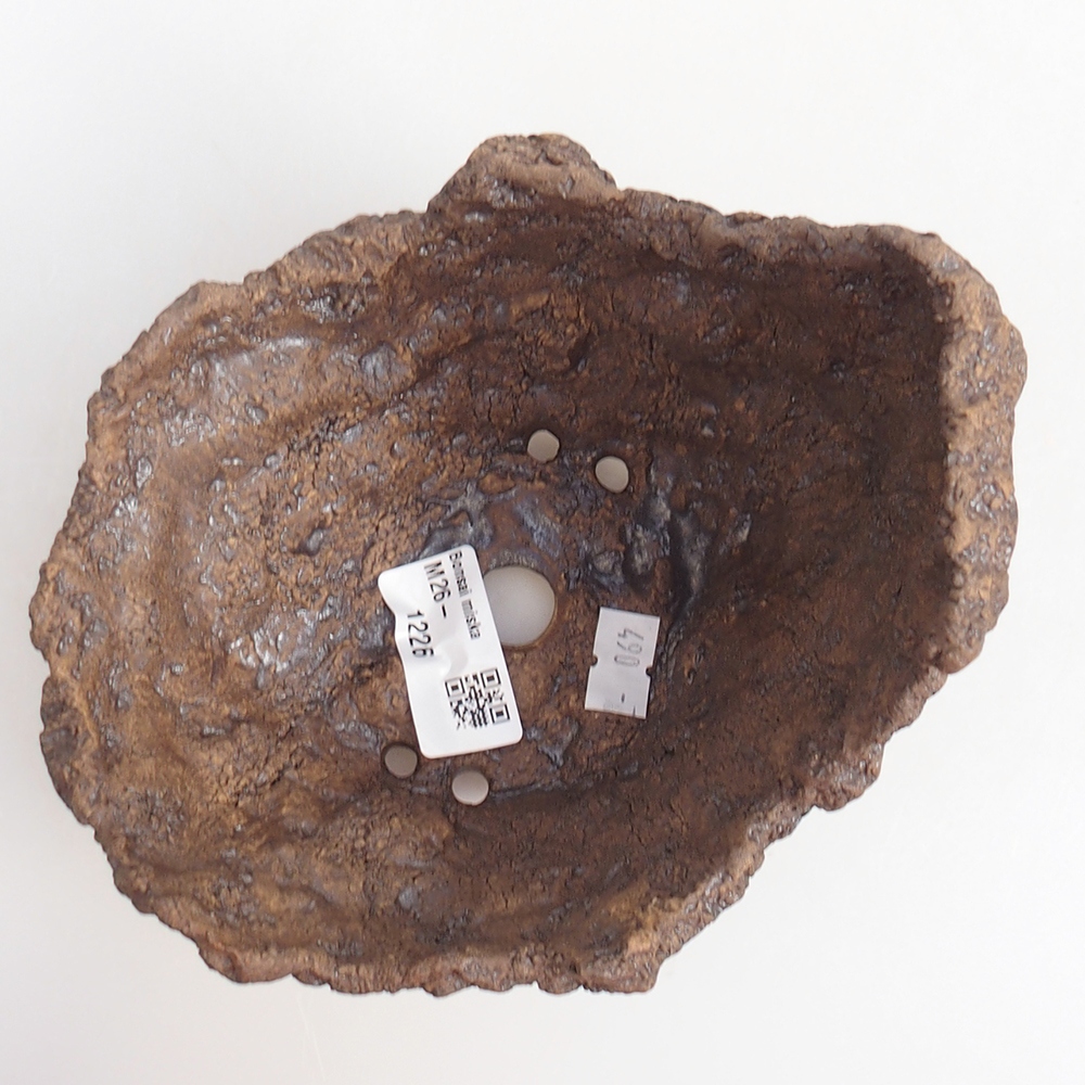 Coquille en céramique 14 x 12 x 13 cm , couleur marron