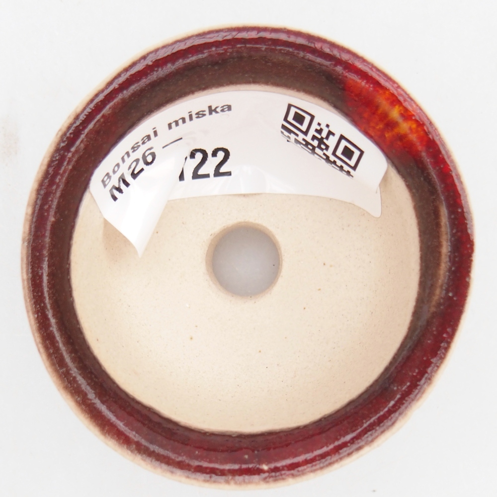 Mini bol bonsaï 5 x 5 x 3 cm, couleur rouge