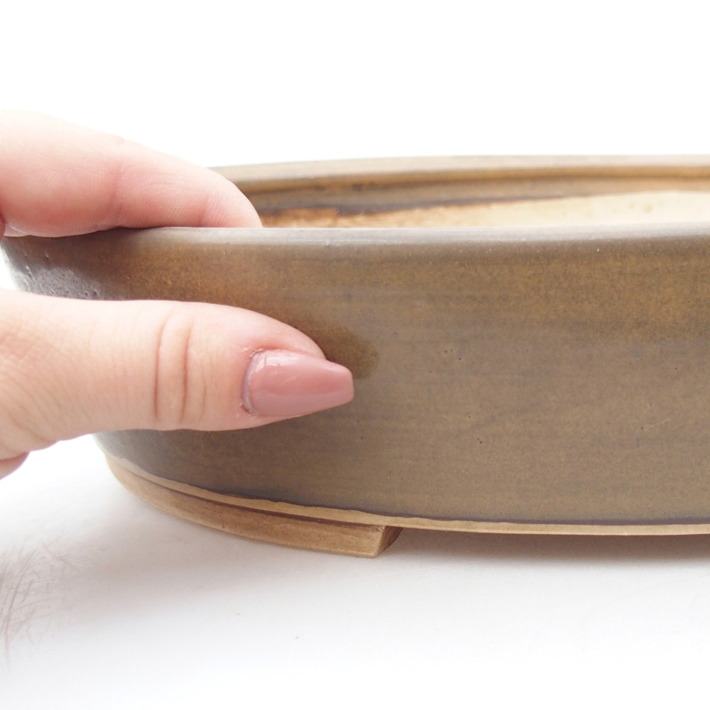 Bol à bonsaï en céramique 31,5 x 27,5 x 6 cm, brun