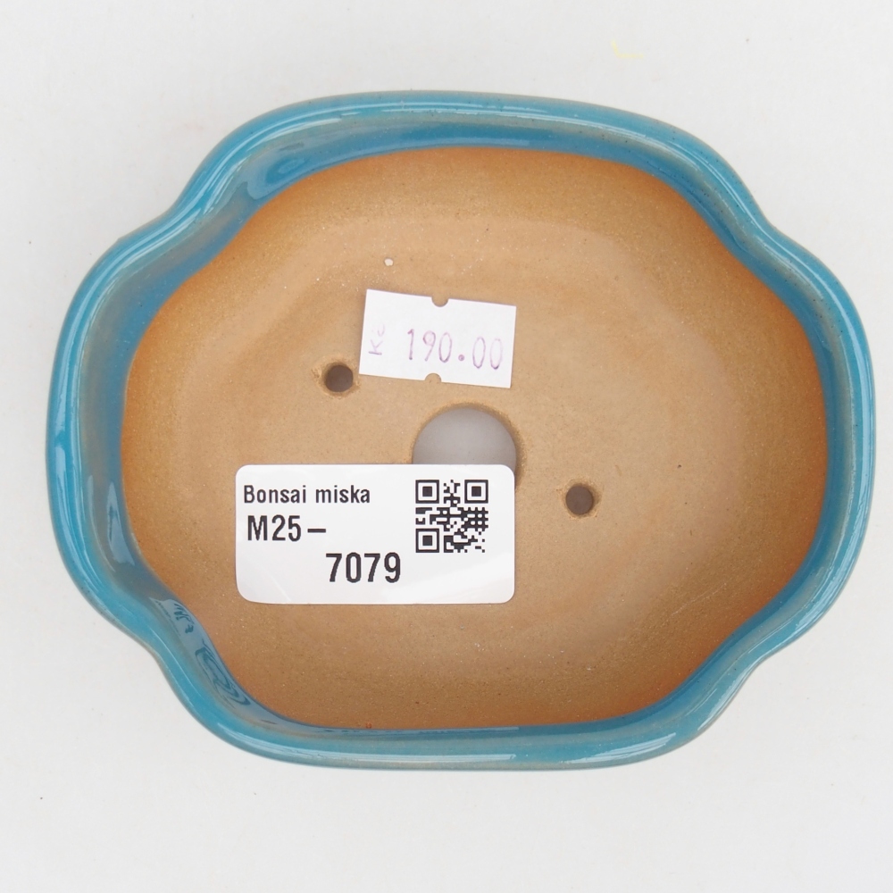 Bol à bonsaï en céramique 10,5 x 9 x 3,5 cm, couleur bleu