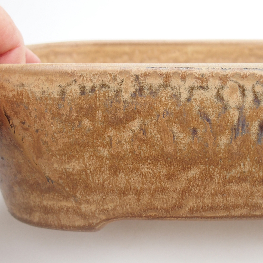 Bol à bonsaï en céramique 23 x 17 x 7,5 cm, brun