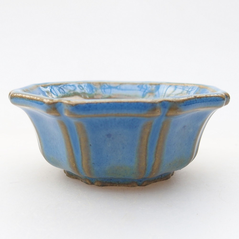 Mini bol bonsaï 6 x 6 x 2,5 cm, couleur bleu