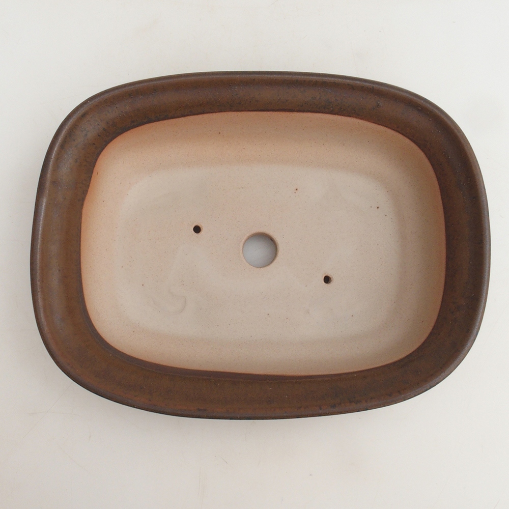 Coupe bonsaï H25 - 23 x 17 x 5,5 cm - marron