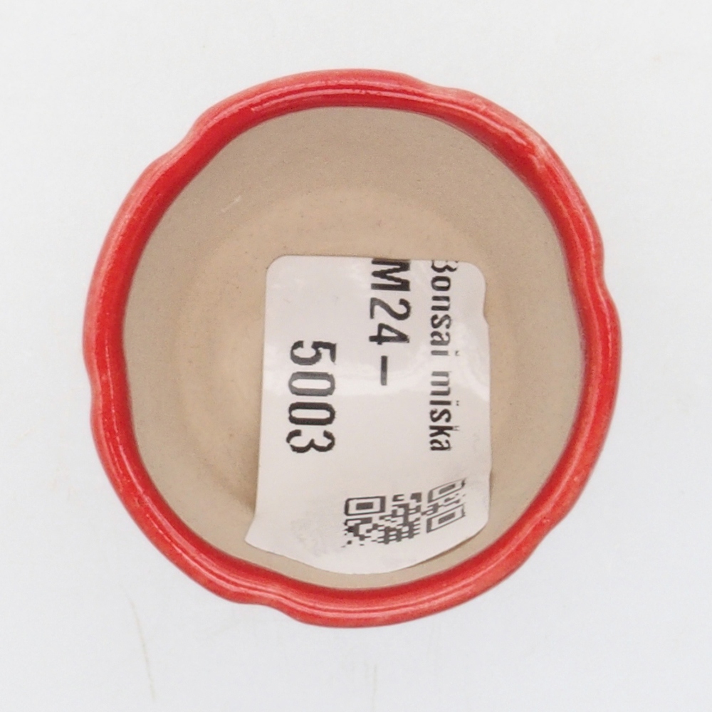 Mini bol bonsaï 3,5 x 3,5 x 4 cm, couleur rouge