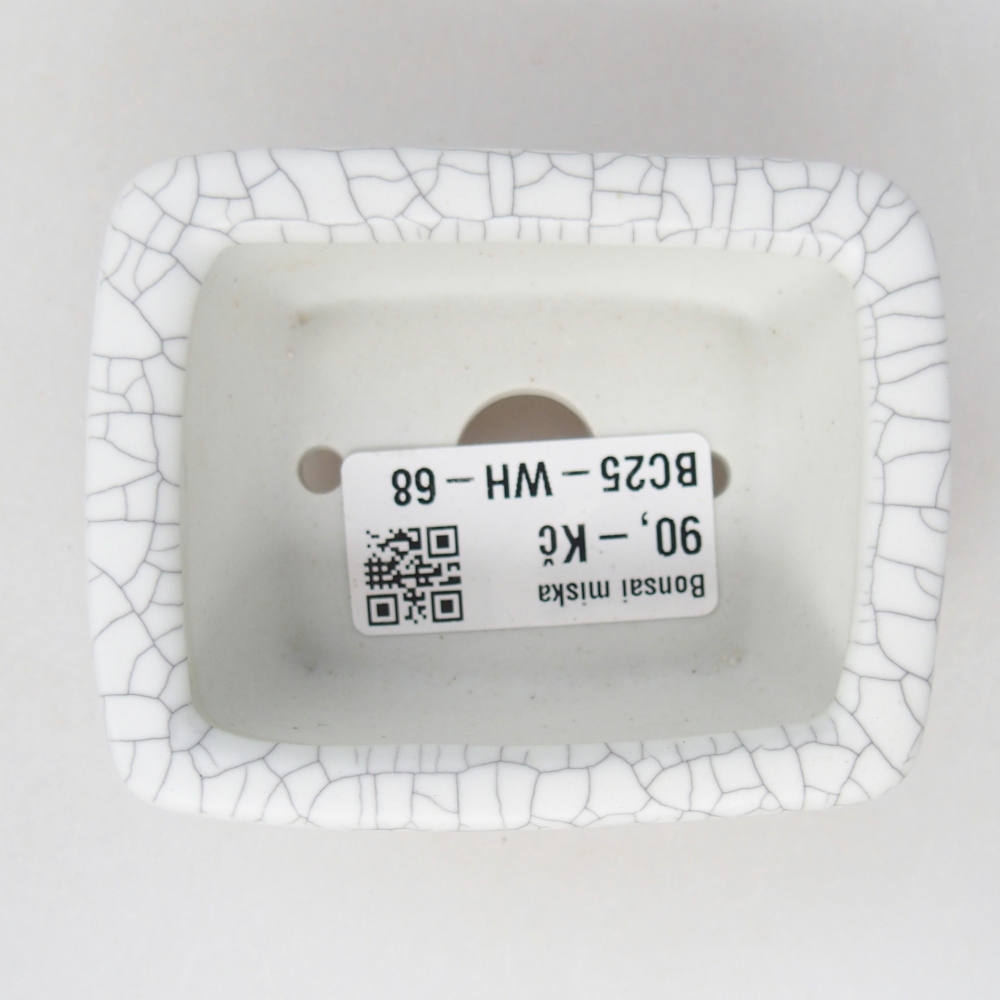 Mini bol bonsaï 8 x 6,5 x 3,5 cm, couleur raku