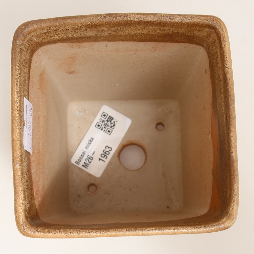 Pot à bonsaï en céramique 9 x 9 x 11 cm, couleur beige