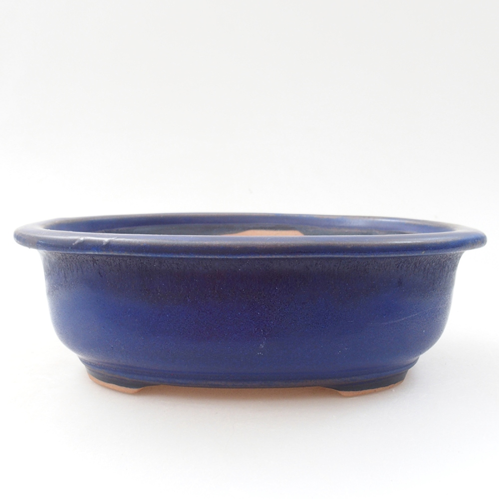 Bol à bonsaï en céramique 18 x 14,5 x 6 cm, couleur bleu