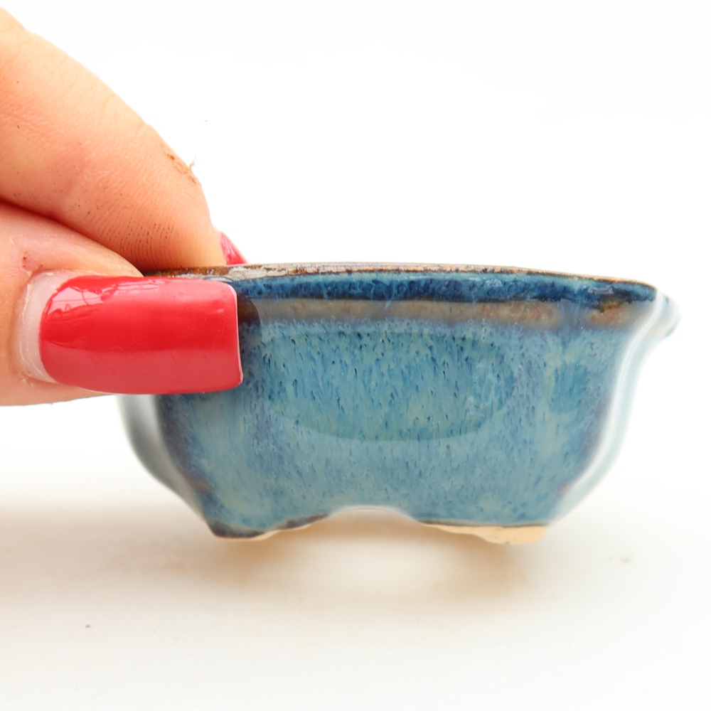 Pot à bonsaï en céramique 6,5 x 6,5 x 2,5 cm, couleur bleue