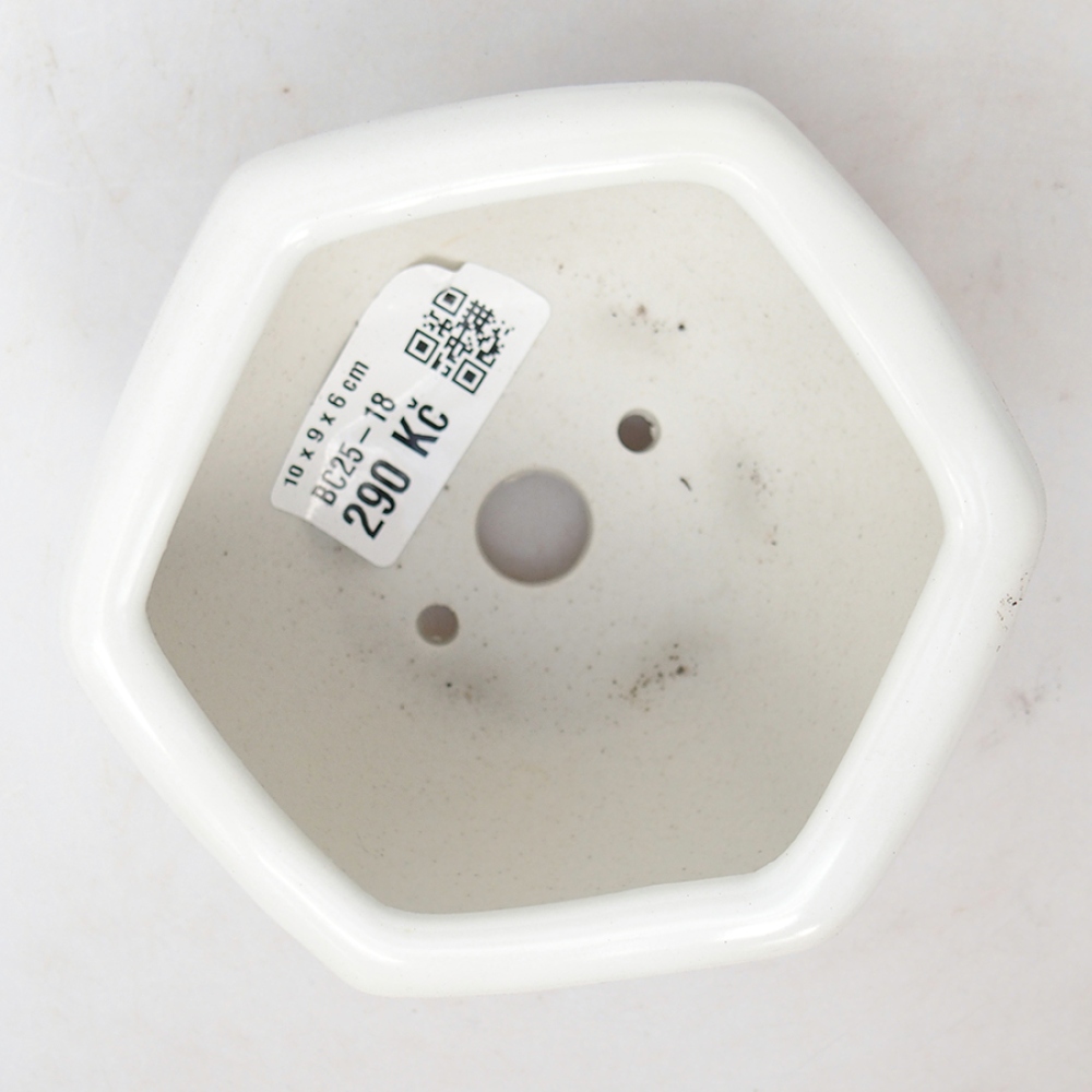 Bol à bonsaï en céramique 10 x 9 x 6 cm, couleur blanc