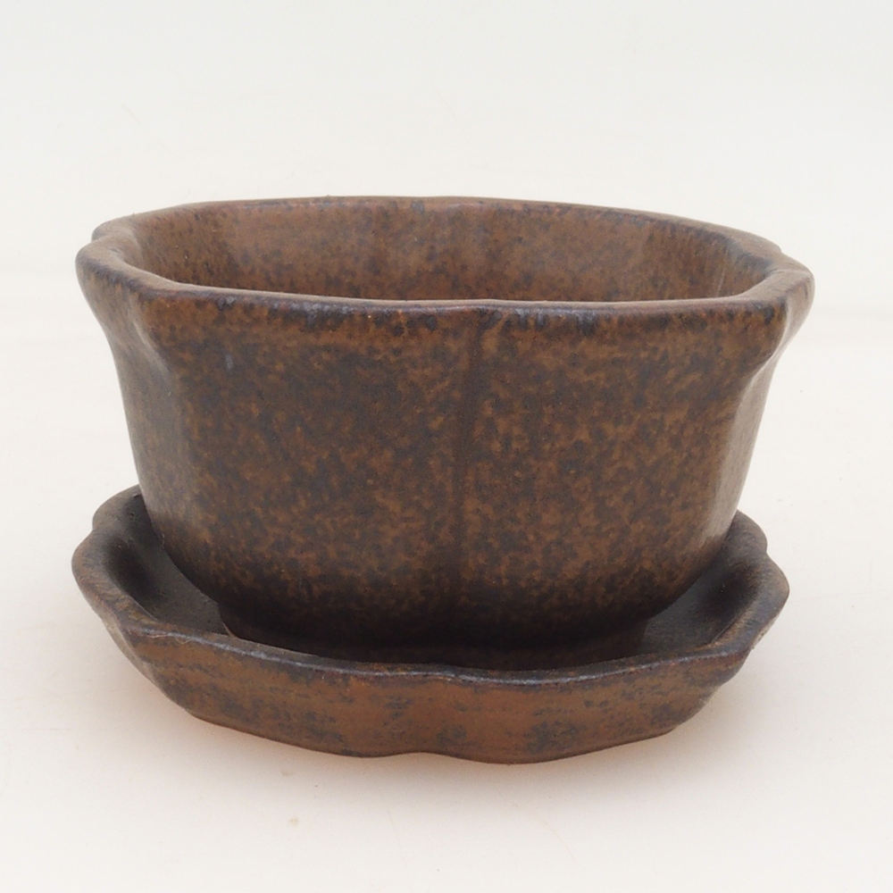 Bol Bonsaï + soucoupe H95 - brun