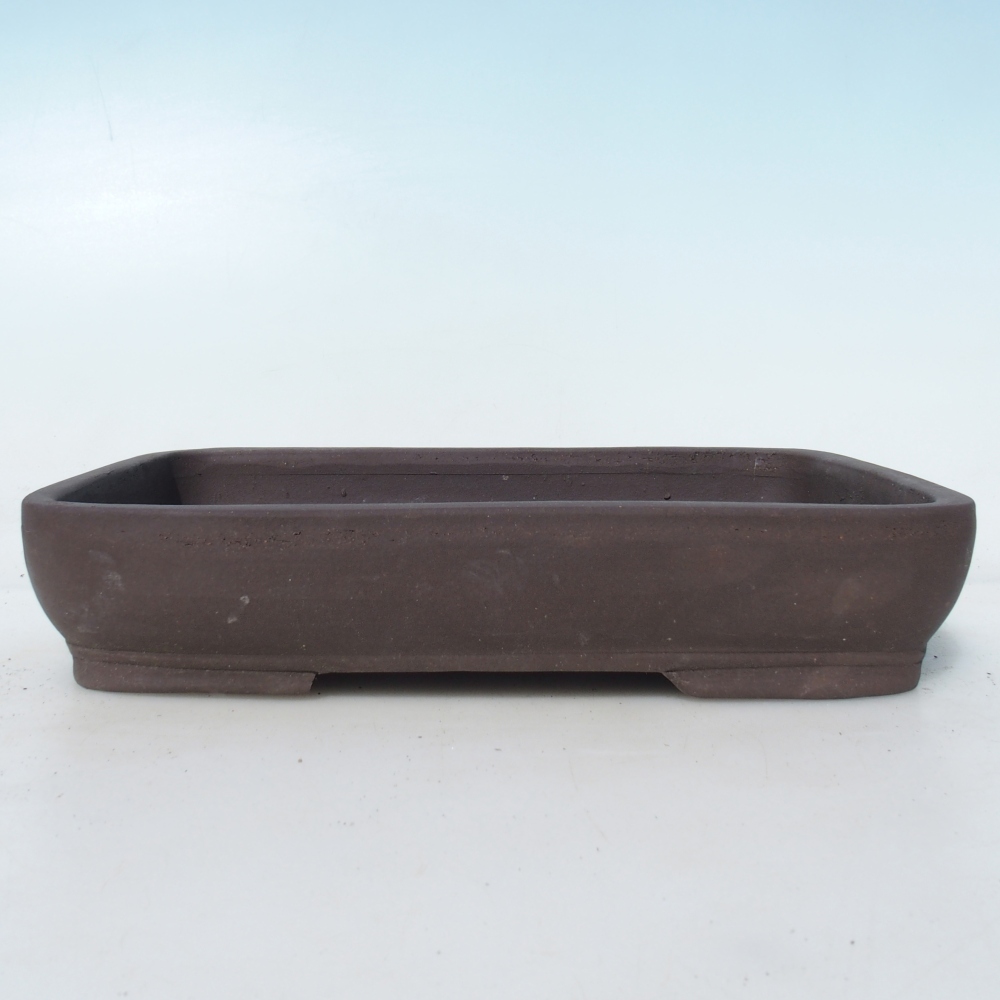 Bol pour bonsaï 25,5 x 17,5 x 5 cm bouleau brun