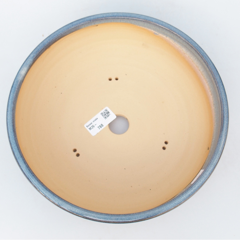 Bol à bonsaï en céramique 25 x 25 x 7,5 cm, couleur bleu