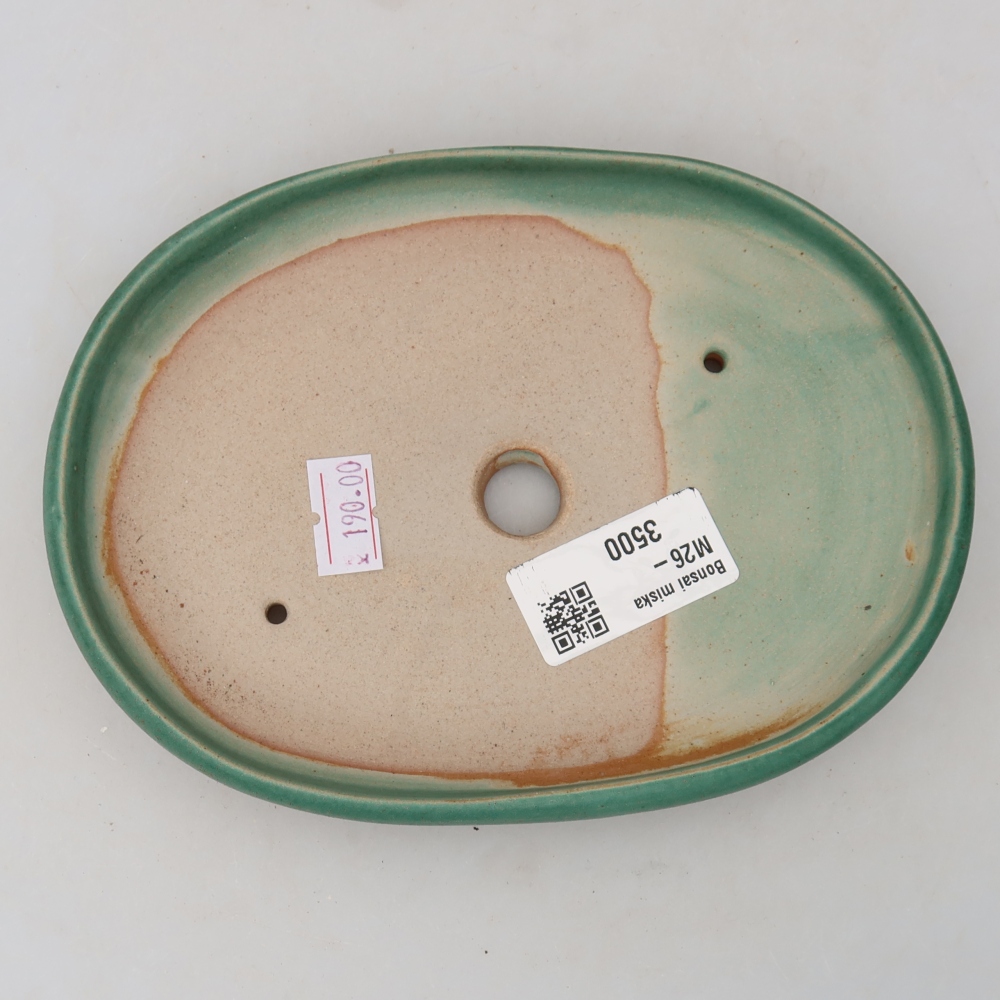 Pot à bonsaï en céramique 17 x 12 x 2,5 cm, couleur verte