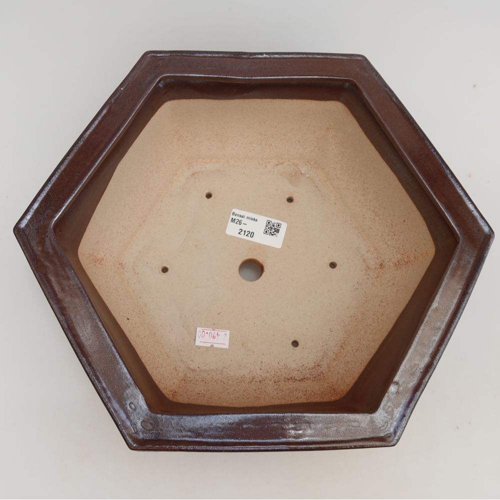 Pot à bonsaï en céramique 28 x 24,5 x 9 cm, couleur bordeaux