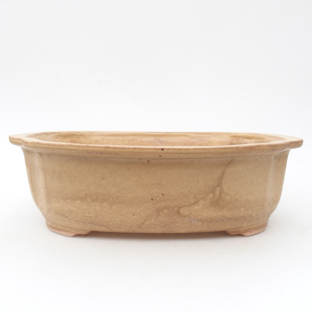 Bol à bonsaï en céramique 25 x 21 x 7,5 cm, couleur beige