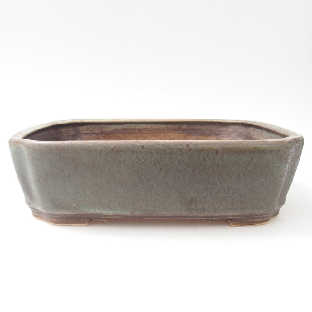 Bol à bonsaï en céramique 21,5 x 18 x 6 cm, couleur arrosée