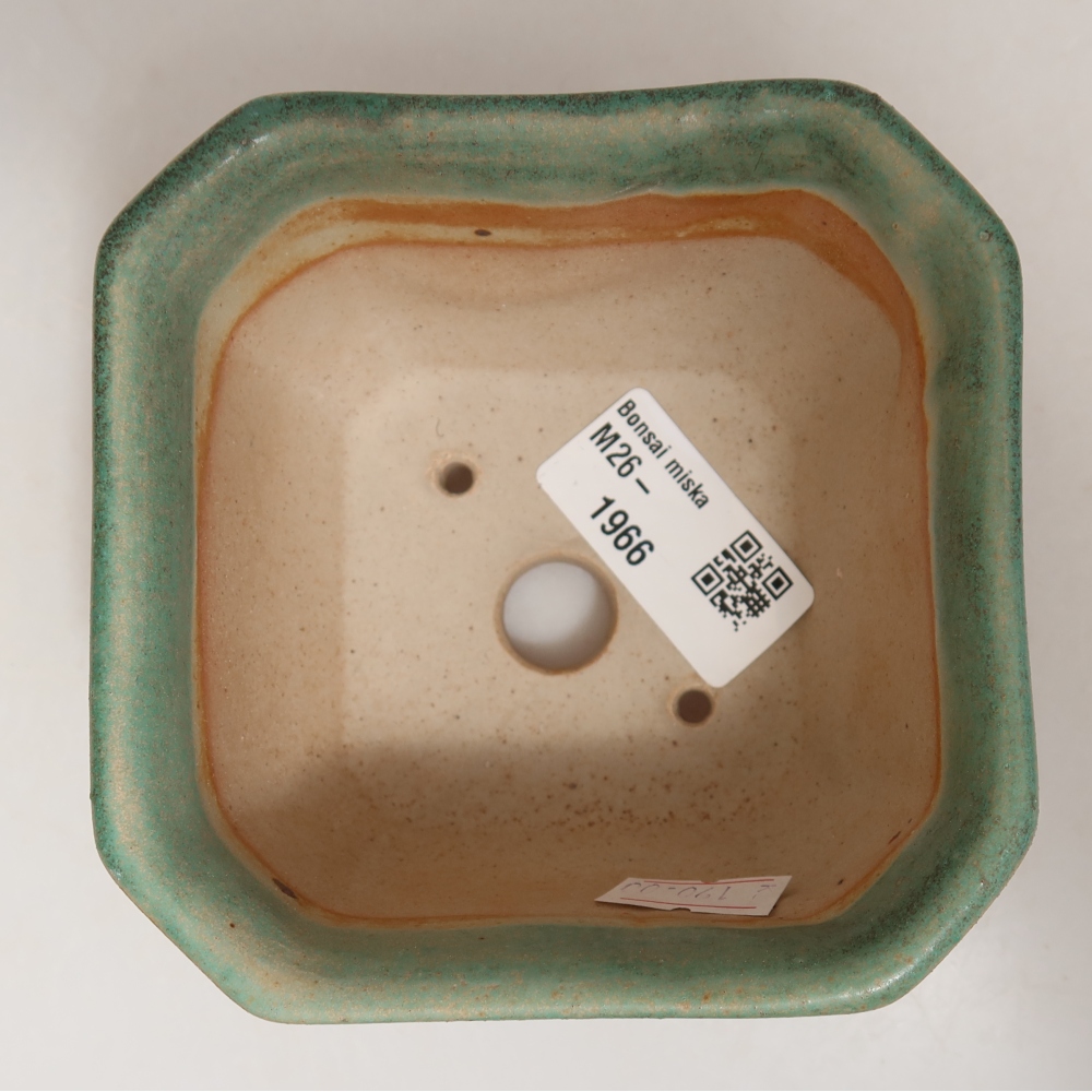 Pot à bonsaï en céramique 10 x 10 x 6,5 cm, couleur verte