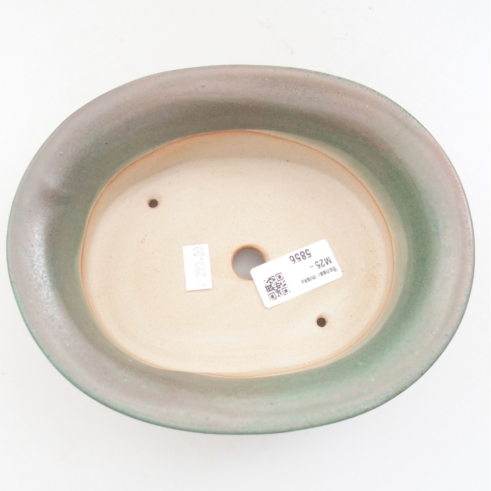 Bol à bonsaï en céramique 22 x 17 x 5 cm, vert