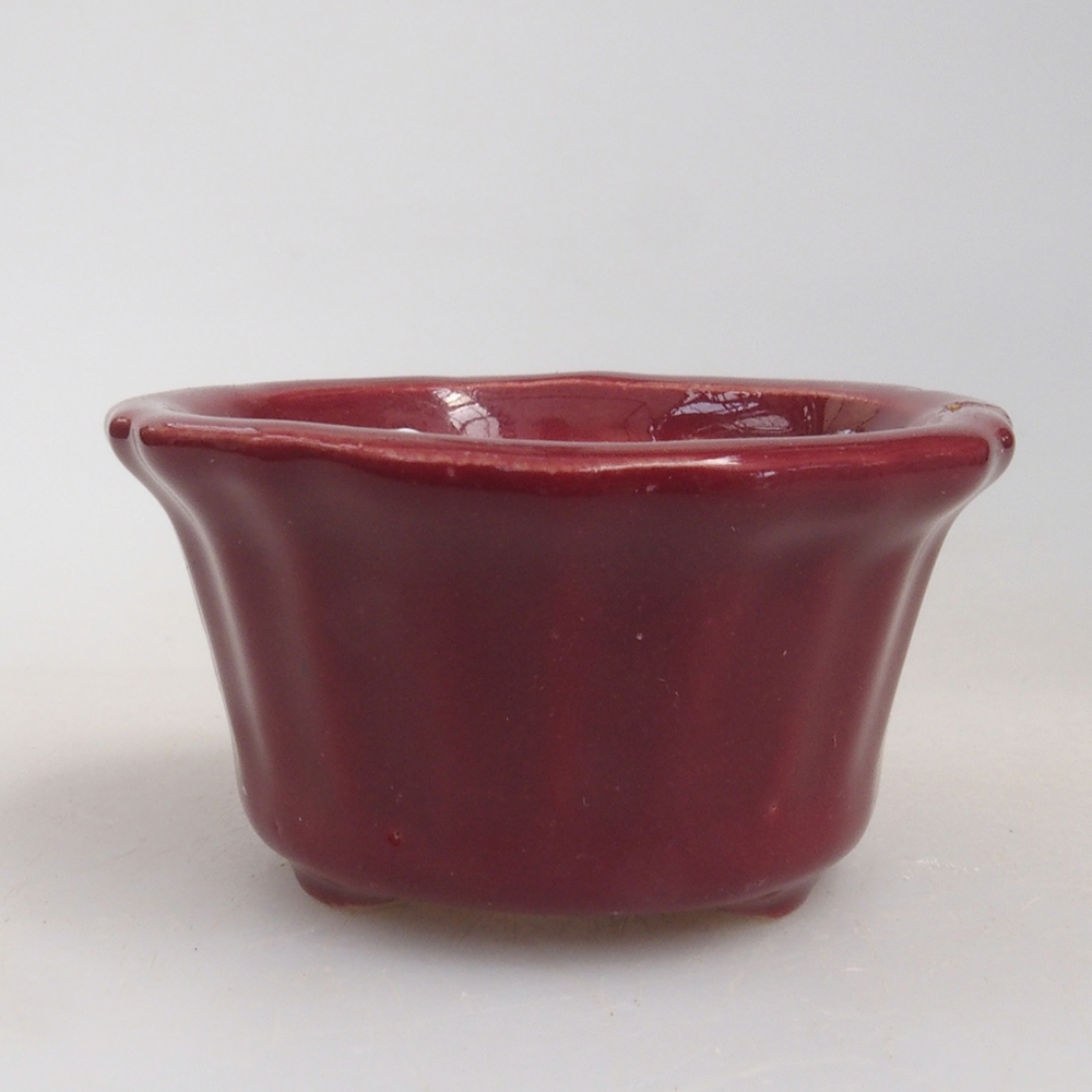 Mini bol bonsaï 5 x 5 x 2,5 cm, couleur bordeaux
