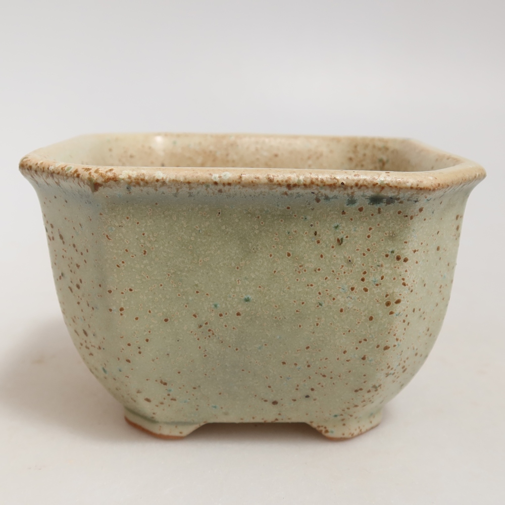 Pot à bonsaï en céramique 10 x 10 x 6,5 cm, couleur verte