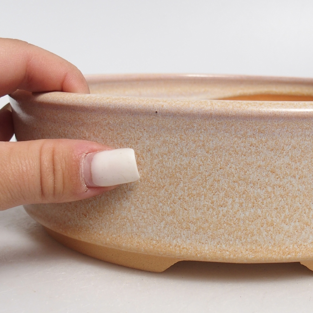 Bol à bonsaï en céramique 20,5 x 20,5 x 6 cm, couleur beige