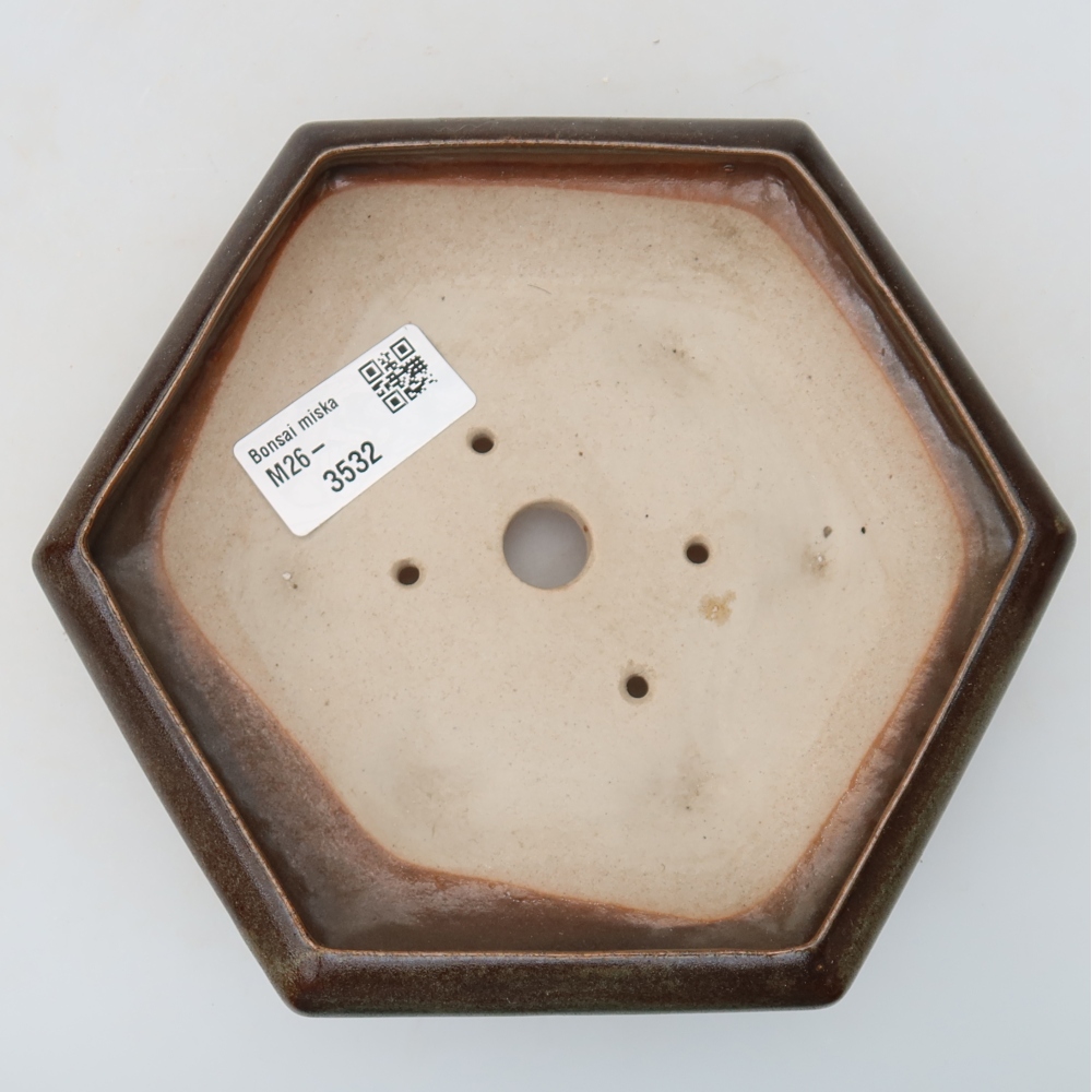 Bol à bonsaï en céramique 17 x 15 x 4 cm, brun
