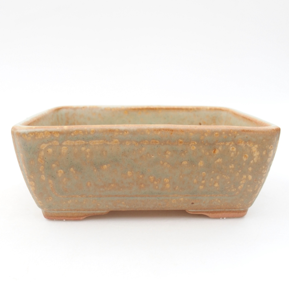 Bol à bonsaï en céramique 16 x 12 x 6 cm, vert