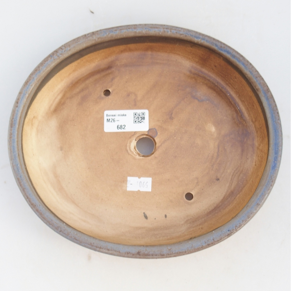 Bol à bonsaï en céramique 23 x 20 x 4,5 cm, couleur bleu