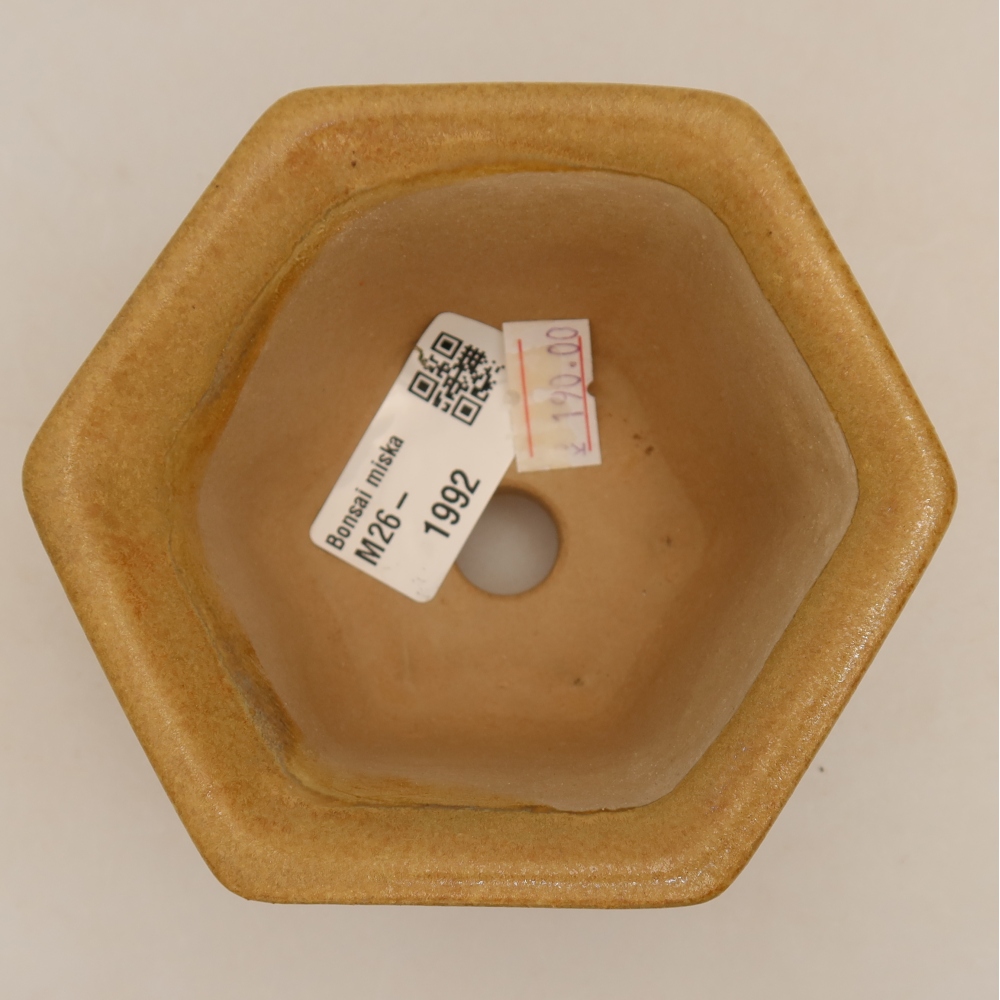 Pot à bonsaï en céramique 10,5 x 9,5 x 5,5 cm, couleur beige