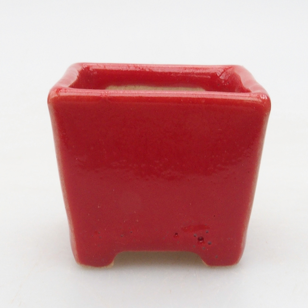 Mini bol bonsaï 3,5 x 3,5 x 3 cm, couleur rouge