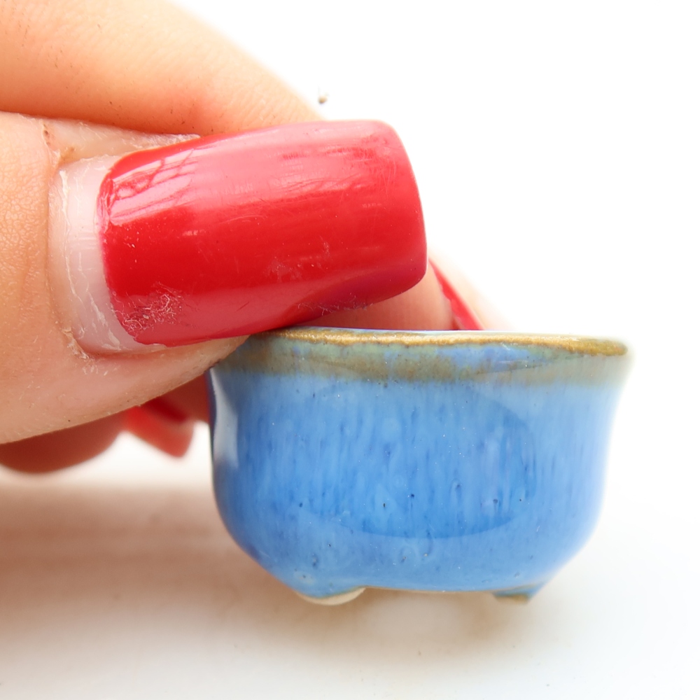 Pot à bonsaï en céramique 2,5 x 2,5 x 2 cm, couleur bleue