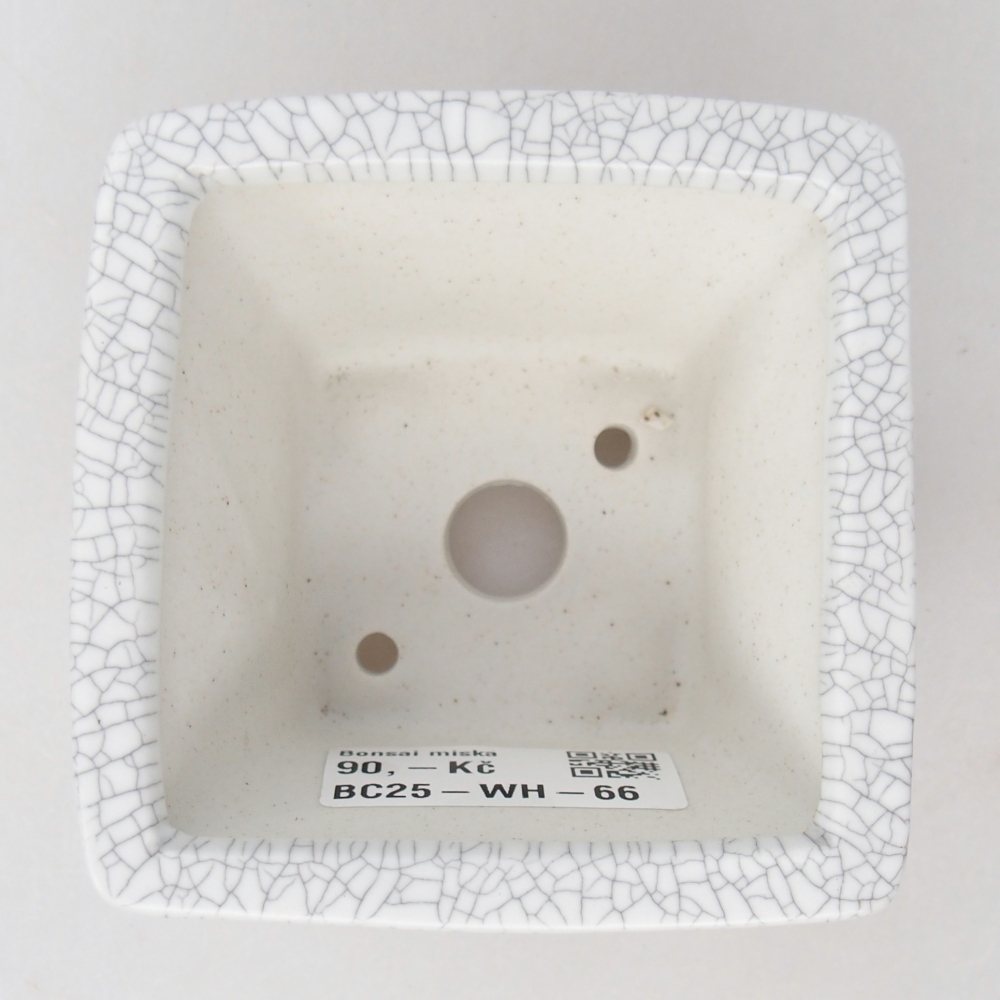 Bol à bonsaï en céramique 8,5 x 8,5 x 5 cm, couleur raku