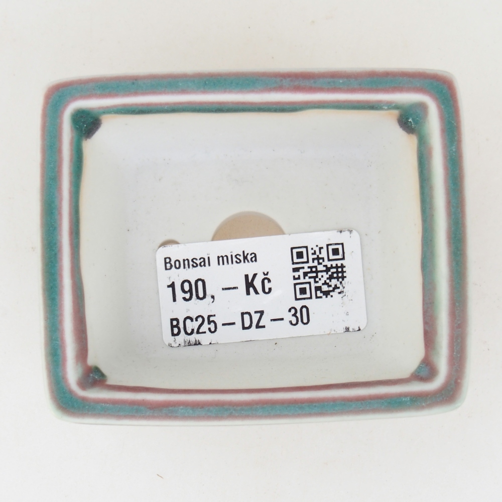 Mini bol bonsaï 7,5 x 6 x 3 cm, vert