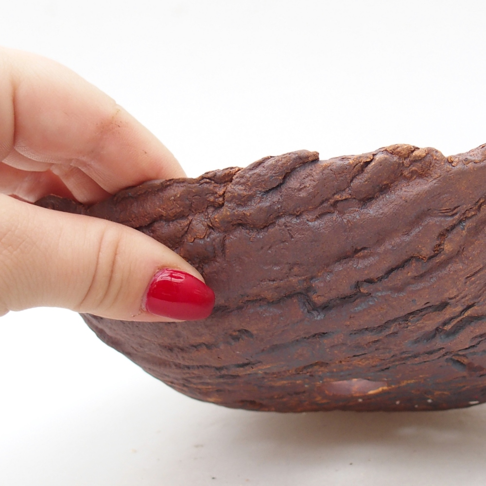 Coquille en céramique 20 x 15 x 6 cm , couleur marron