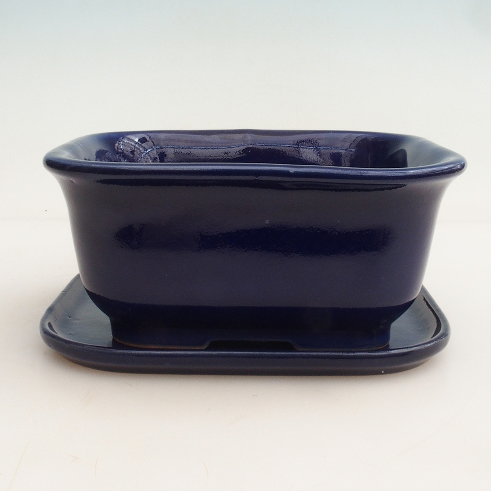 Bol Bonsaï + soucoupe H36 - 17 x 15 x 7,5 cm - bleu