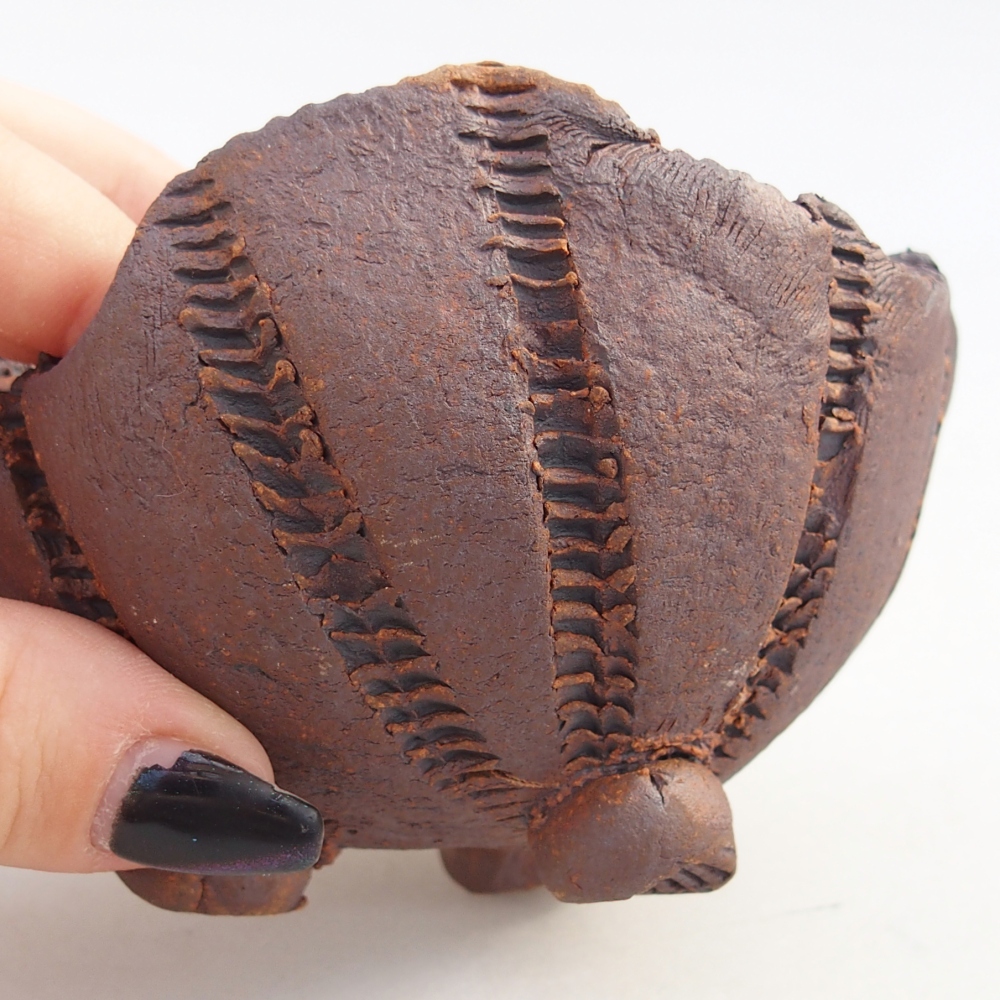 Coquille en céramique 9 x 9 x 7 cm , couleur marron