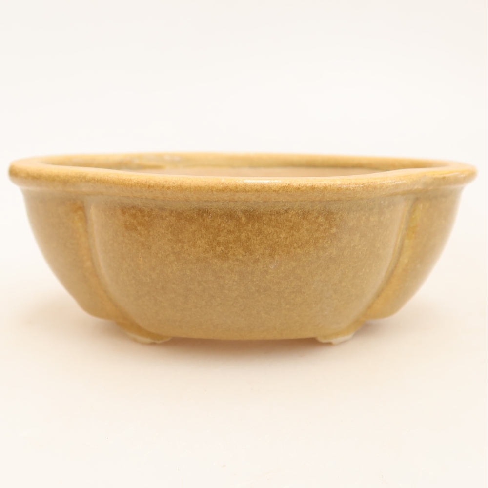 Pot à bonsaï en céramique 12,5 x 10,5 x 4,5 cm, couleur beige
