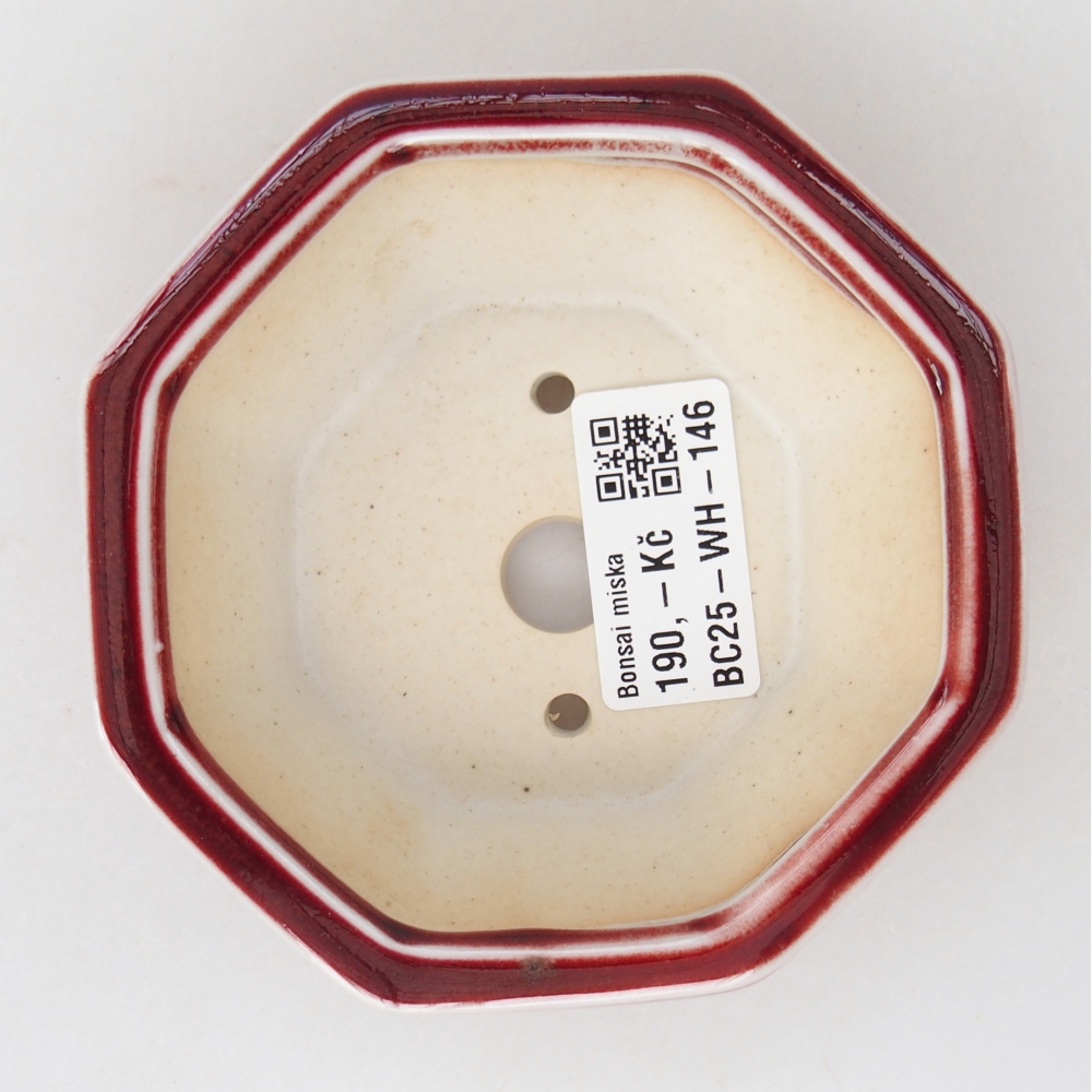 Mini bol bonsaï 11 x 10 x 3,5 cm, couleur rouge