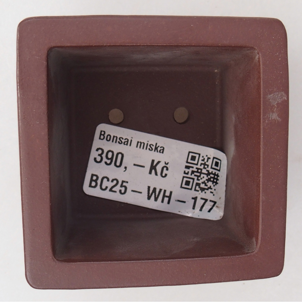 Mini bol bonsaï 6 x 6 x 4,5 cm, brun