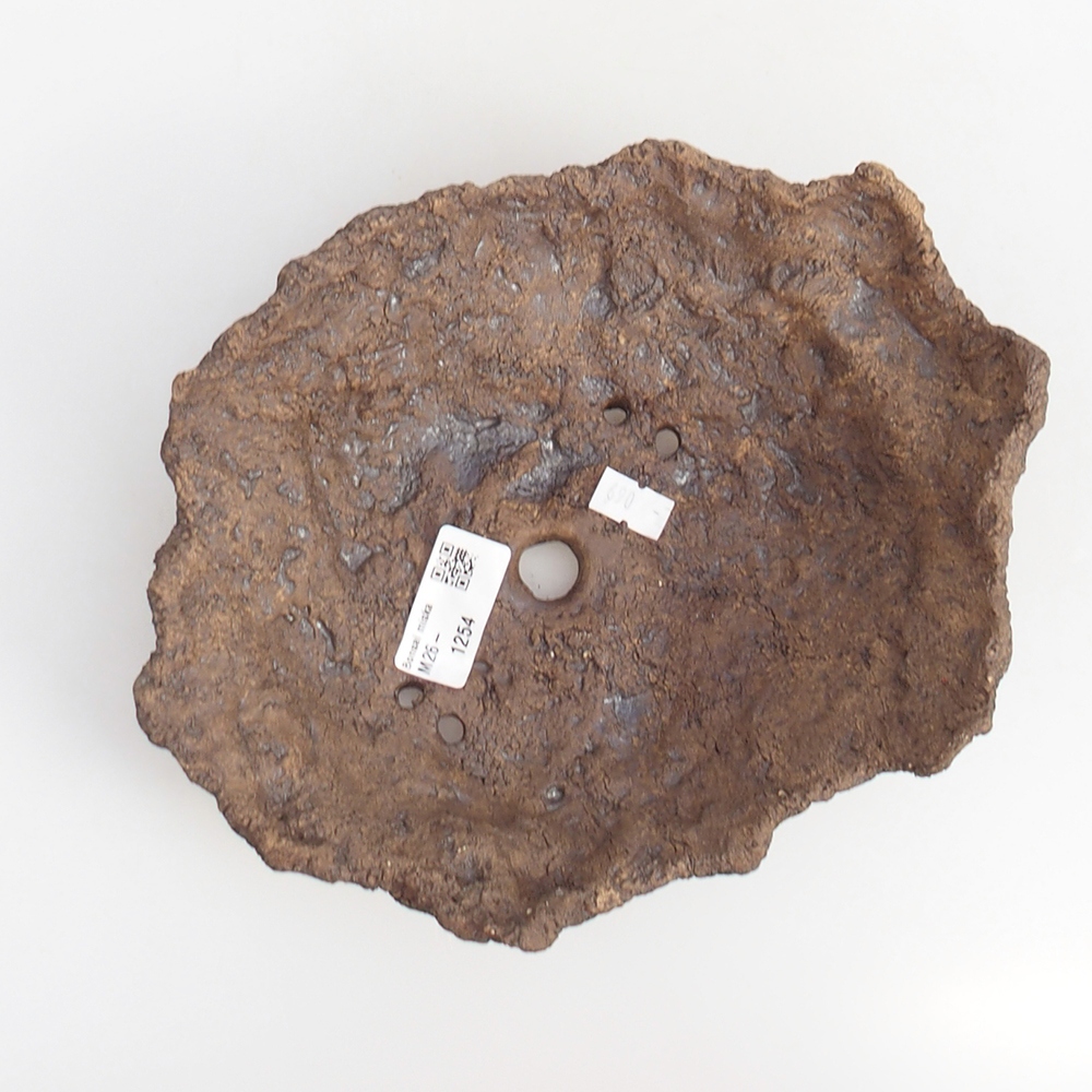 Coquille en céramique 20 x 14 x 7 cm , couleur marron