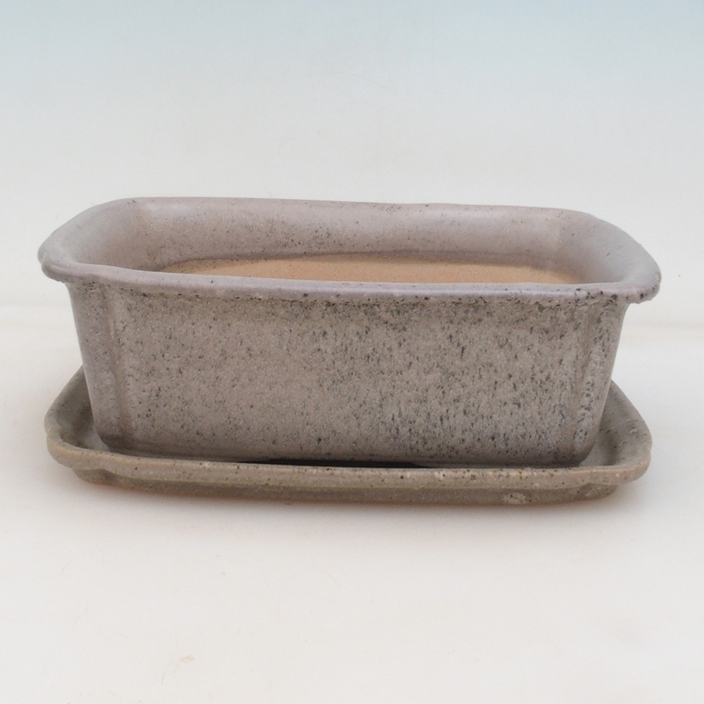 Bol Bonsaï + soucoupe H50 - 17x12,5x5,5 cm