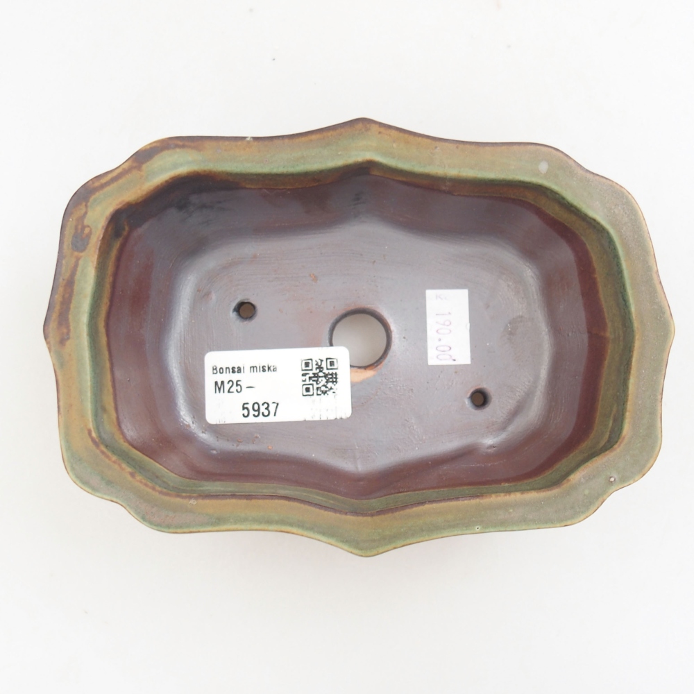 Bol à bonsaï en céramique 22 x 17 x 5 cm, vert
