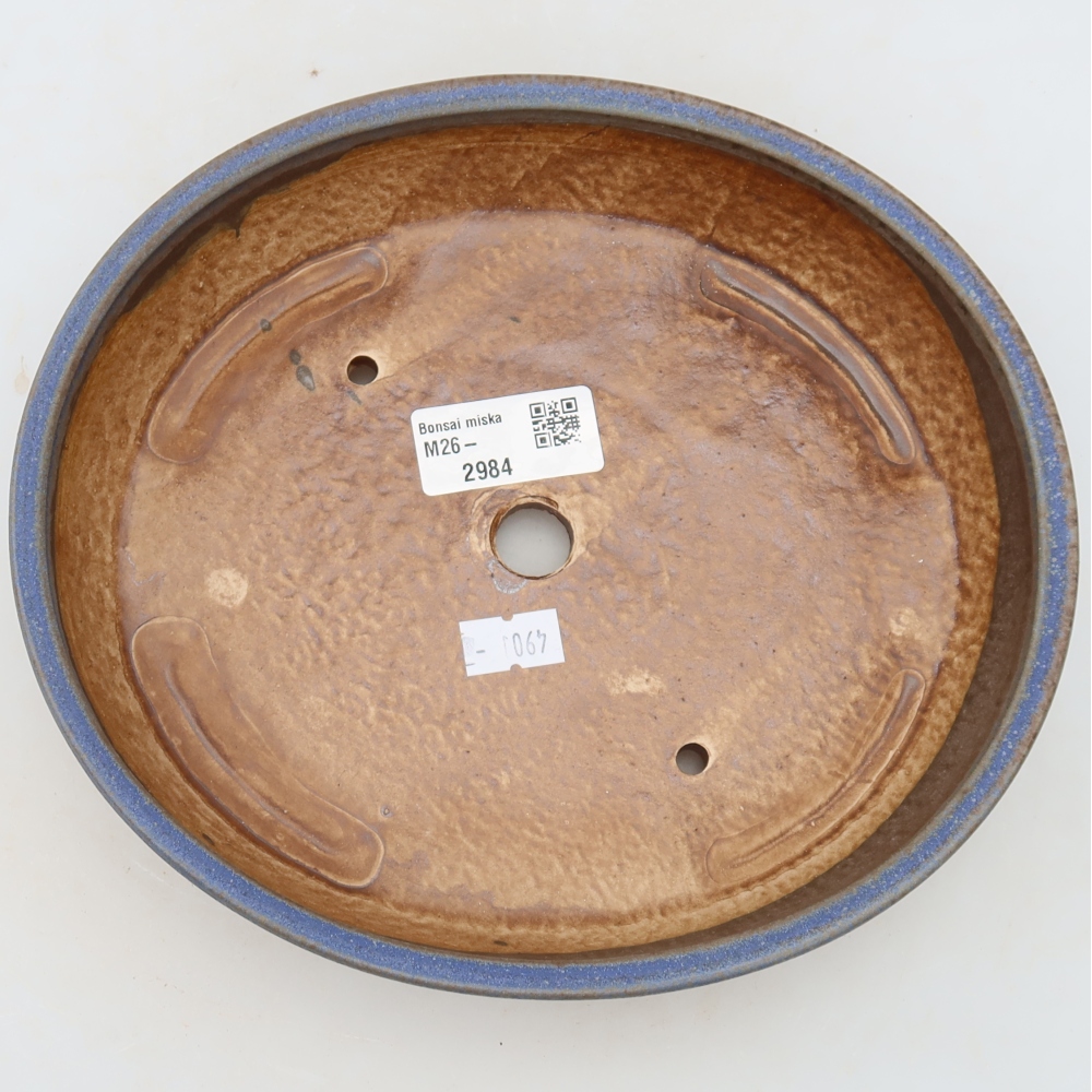 Pot à bonsaï en céramique 21 x 19 x 4,5 cm, couleur bleue