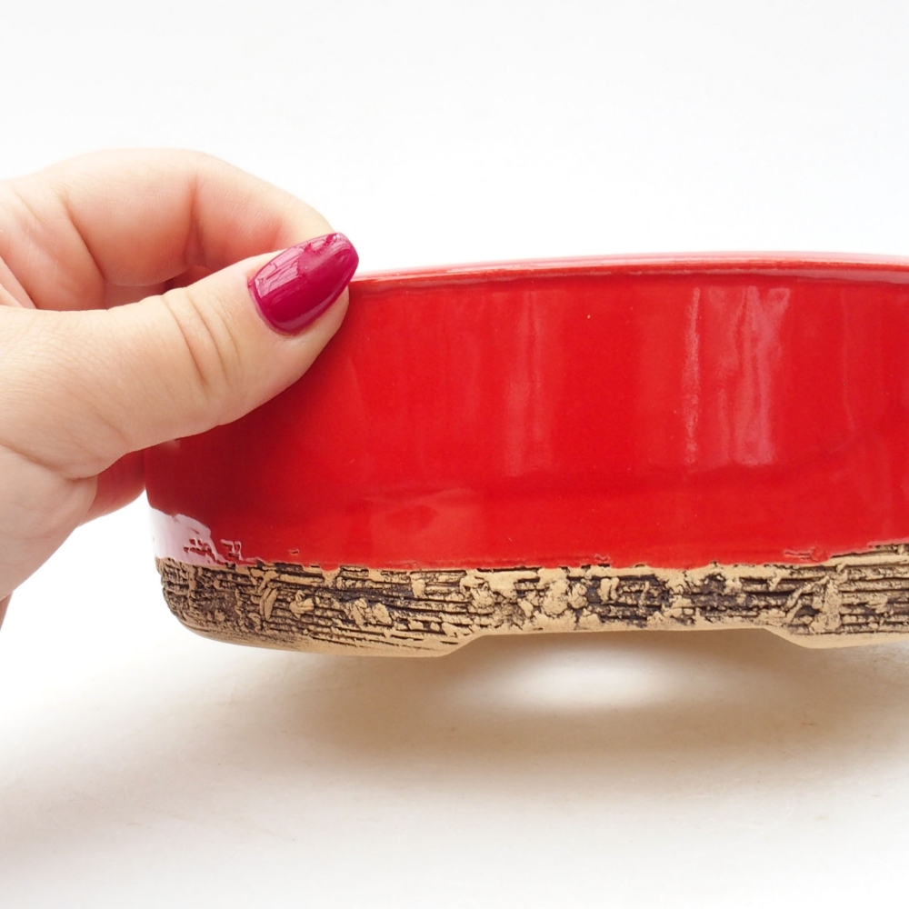 Bol à bonsaï en céramique 17 x 17 x 6 cm, couleur rouge