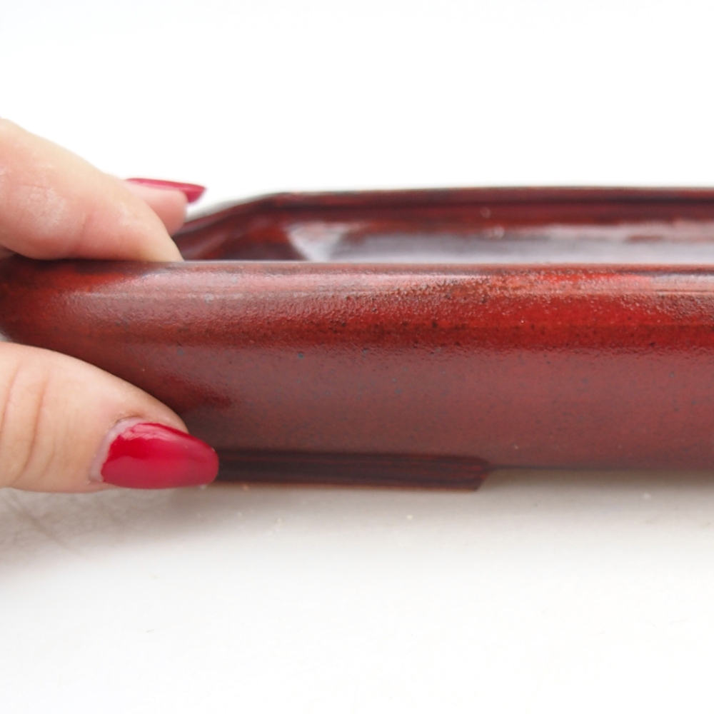 Bol à bonsaï en céramique 24 x 17,5 x 4 cm, couleur rouge