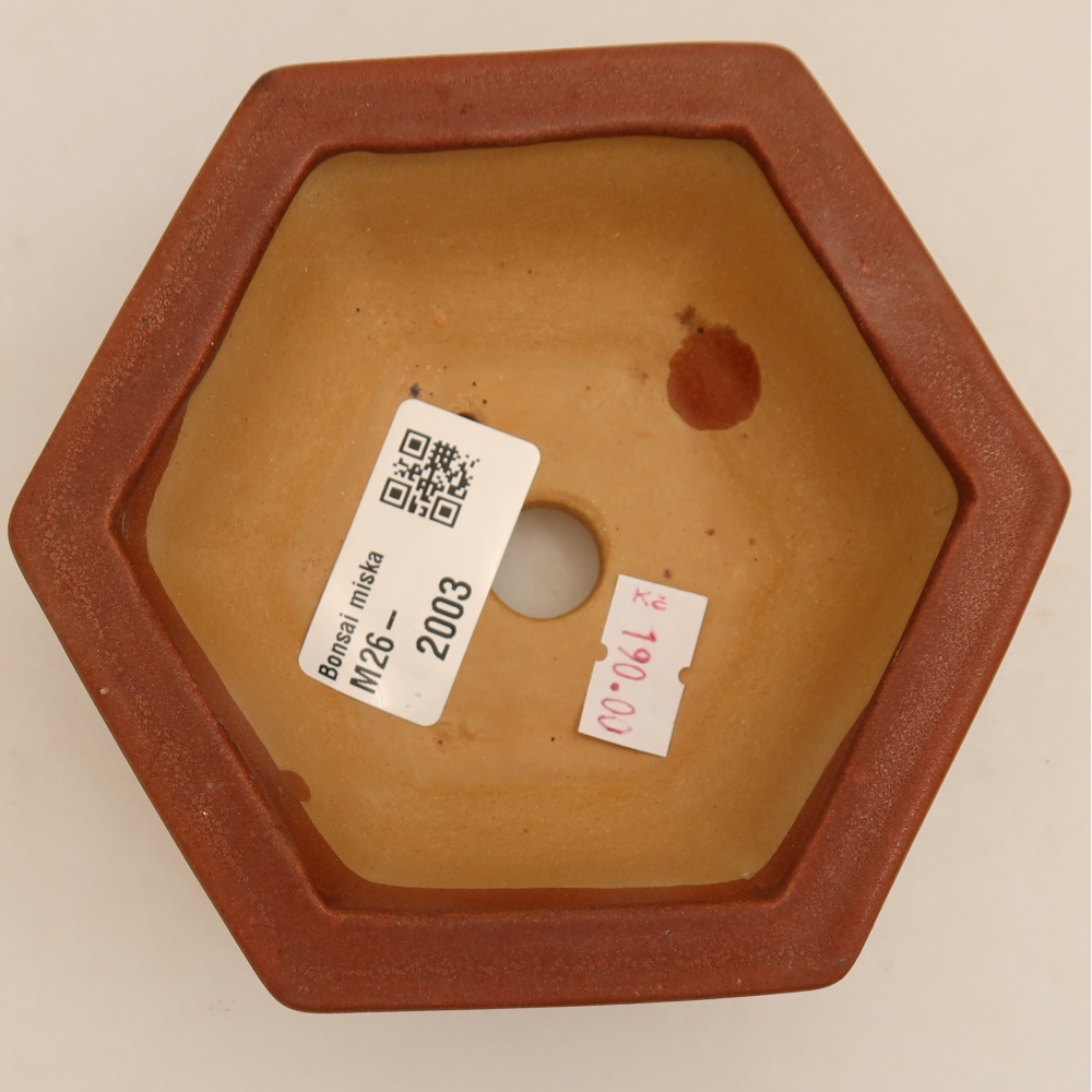 Pot à bonsaï en céramique 12 x 10,5 x 4 cm, couleur bordeaux