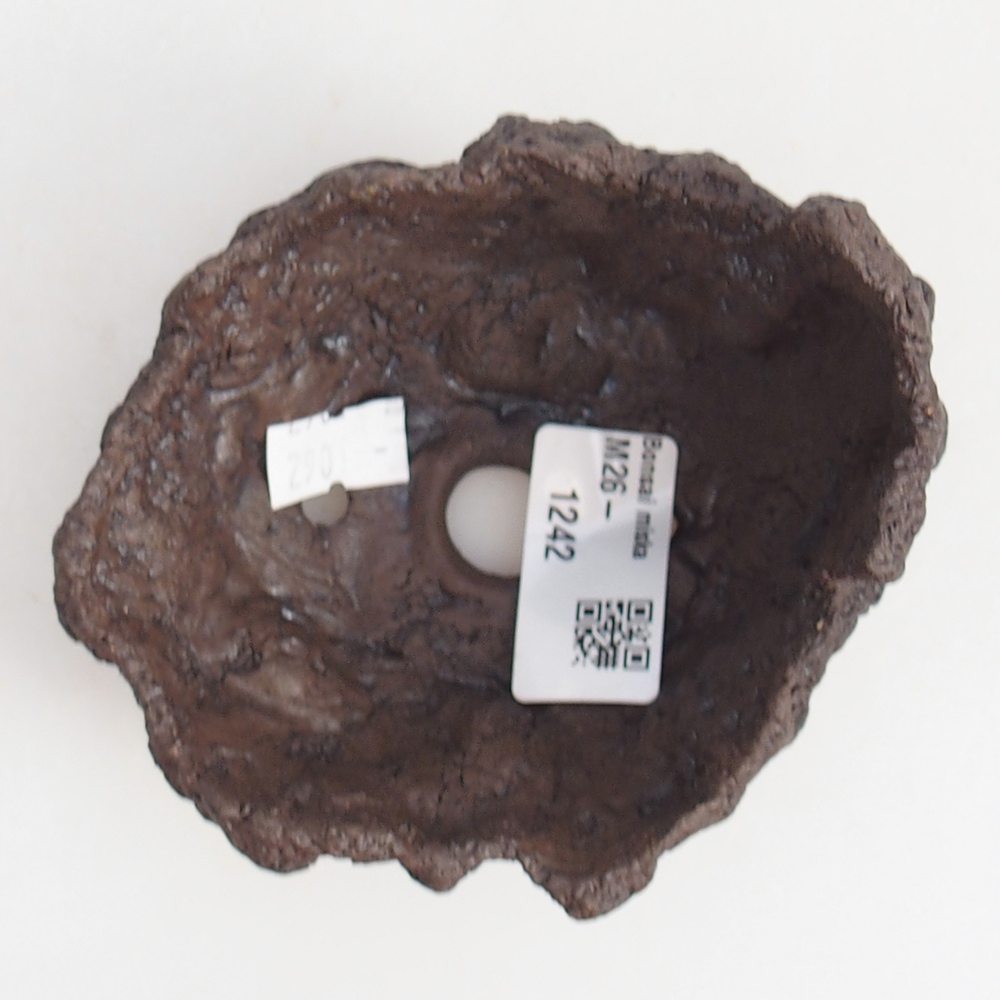 Coquille en céramique 10 x 9 x 7,5 cm , couleur marron